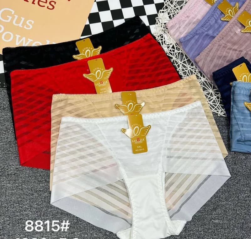 Women's mesh panties